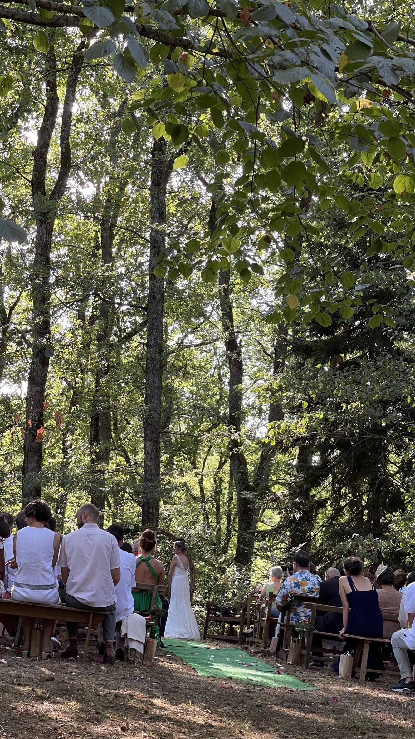 Mariage en plein air dans une forêt luxuriante ; la mariée en robe blanche attend devant des invités assis sur des bancs en bois.